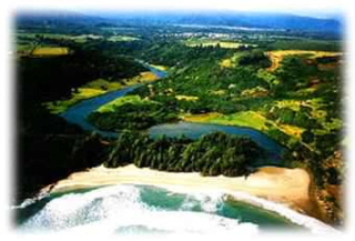 Kahili Beach Aerial View